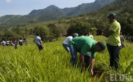 http://eldia.com.do/image/article/143/460×390/0/F1F0445E-0E16-48E2-97DC-96DE2804BD80.jpeg