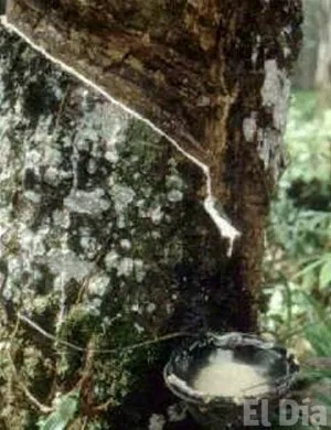 http://eldia.com.do/image/article/149/460×390/0/0810B170-B77A-4BA8-AECE-708A901339F3.jpeg