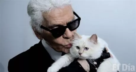 http://eldia.com.do/image/article/147/460×390/0/2B20B1A5-FD49-4AA5-8D49-B0B4A079E0AB.jpeg