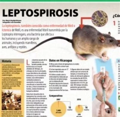 http://eldia.com.do/image/article/147/460×390/0/F0475E44-2ED2-4518-A120-C32499163B3E.jpeg http://eldia.com.do/image/article/147/460×390/0/F0475E44-2ED2-4518-A120-C32499163B3E.jpeg