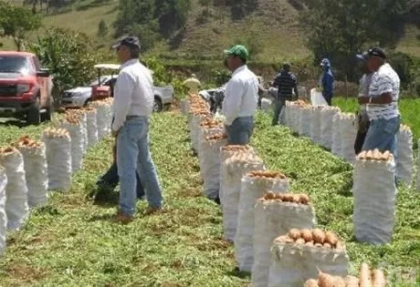 http://eldia.com.do/image/article/151/460×390/0/0331688D-F5FC-45A4-B36E-8EA697D04E74.jpeg