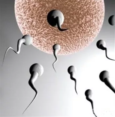 http://eldia.com.do/image/article/152/460×390/0/07DAC470-BFFE-413D-820D-7F581993BC74.jpeg