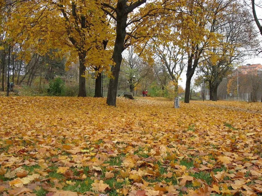 El otoño es parte de un amplio plan de vuelo para beneficio de la vida