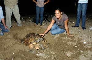 Científicos advierten sexta extinción masiva de la Tierra ya comenzó