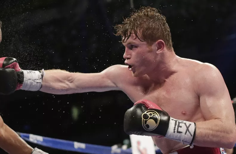 Saul "Canelo" Alvarez, Austin Trout