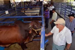 Presentan proyecto de Biotecnología en Expo Monte Plata 2013