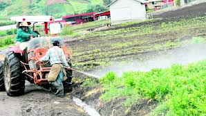 Agroquímicos afectan salud, según investigación  de AP