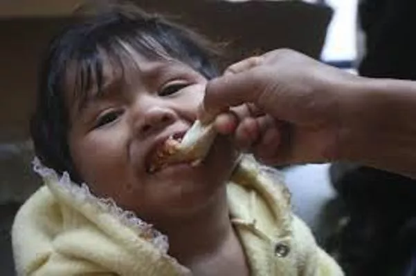 dia de la alimentacion