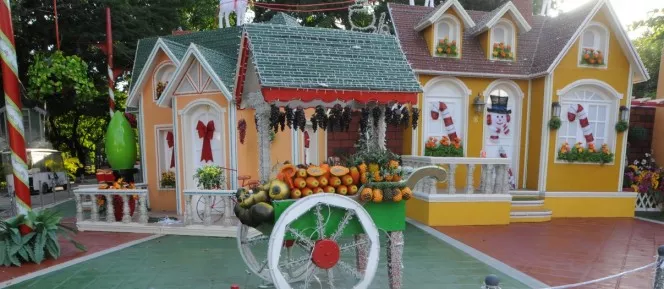 28 nacionales 29-2,p01