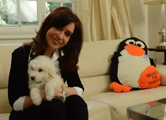 Cristina-Kirchner-Vuelve-530×383