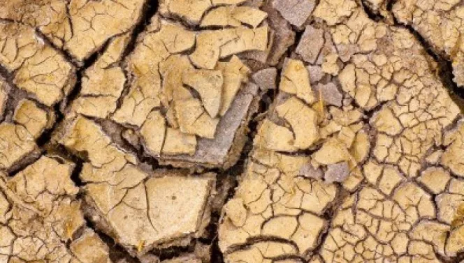 18 nacionales 18-03,p01