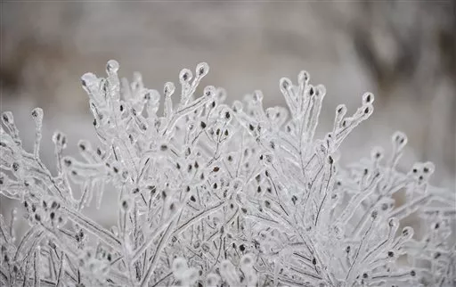 EEUU-FRIO