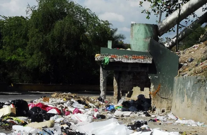 Desorden urbano es la antesala Zoológico