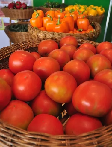 Confenagro realizará este domingo Mercado Gastronómico