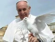 El papa hace la paz con las aves