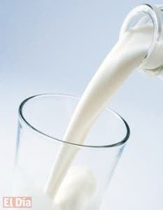 El consumo de leche en adultos: más allá de los mitos