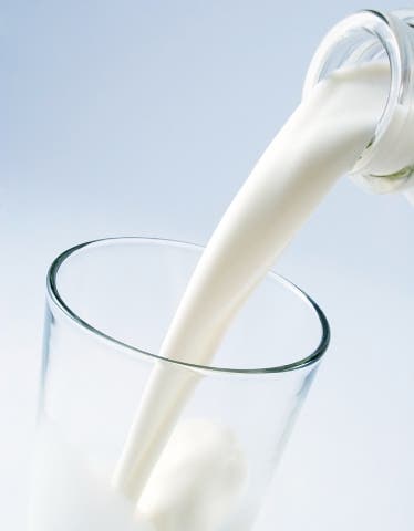 El consumo de leche en adultos: más allá de los mitos