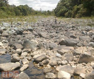 Sequía afecta ganado en  Línea Noroeste y el Norte