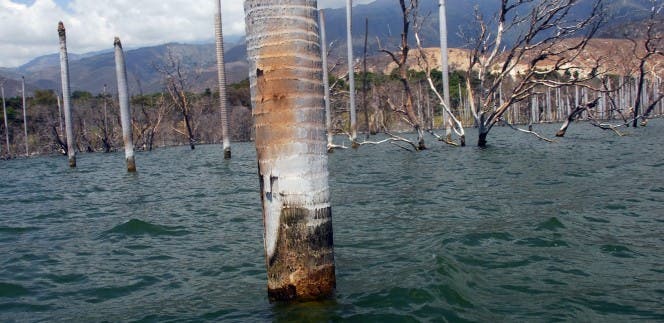 Lago Enriquillo, el humedal más valorado de RD