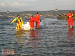 Rescatan del mar Caribe cadáver de mujer