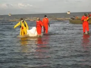 Rescatan del mar Caribe cadáver de mujer