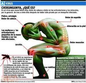 Infectólogos llaman a combatir efectos dengue y Chikungunya