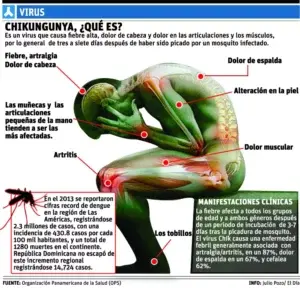 Infectólogos llaman a combatir efectos dengue y Chikungunya