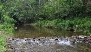 Presidente Abinader crea el Parque Nacional Loma los Siete Picos