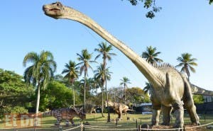 Para vivir  una aventura con  dinosaurios Jardín Botánico