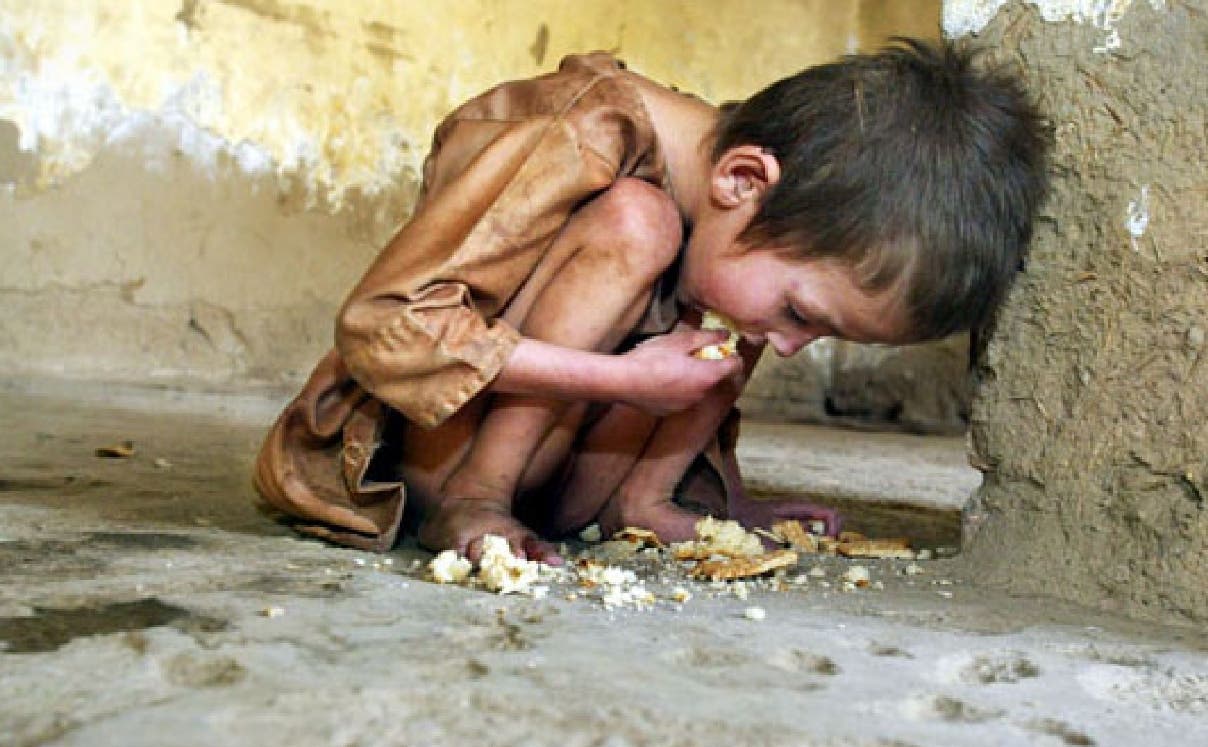 La FAO presenta a la CELAC un plan para erradicar el hambre en la región