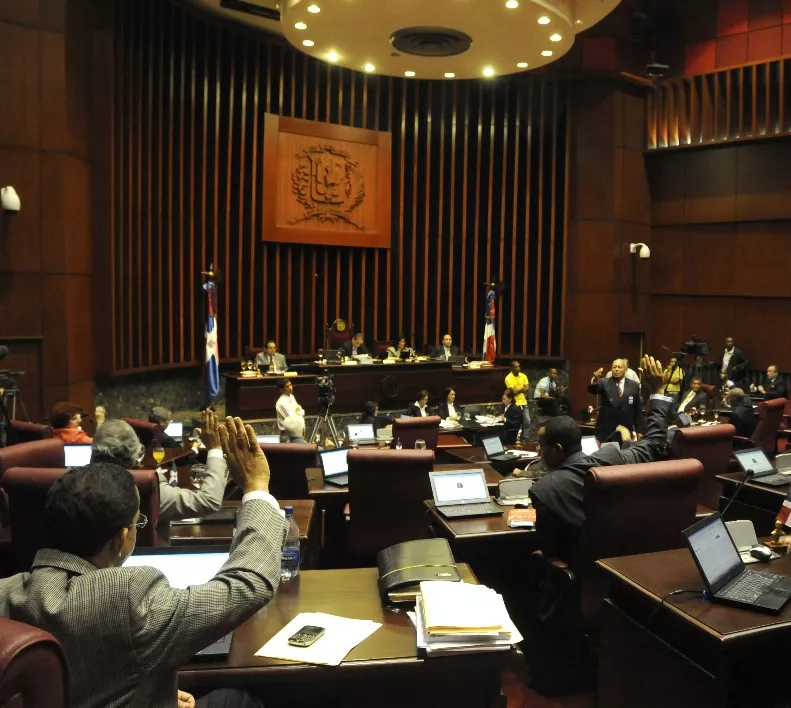 Senado aprueba Ley Orgánica Tribunal Constitucional
