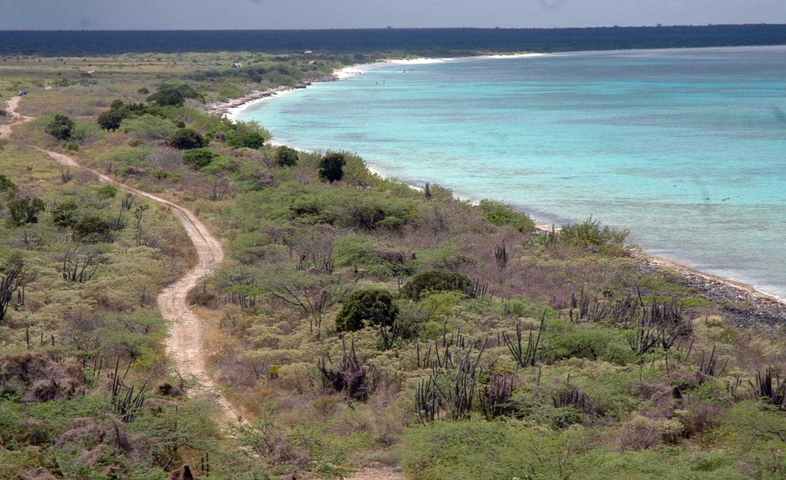 Tribunal declara nulos deslindes de parcelas localizadas en Parque Nacional Jaragua