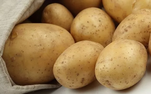Papas Papas