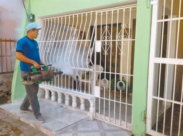 Salud Pública establece estrategia contra chikungunya