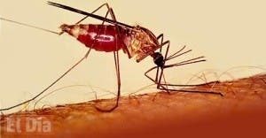 Fondo contra malaria pide no bajar la guardia tras avances ante enfermedad