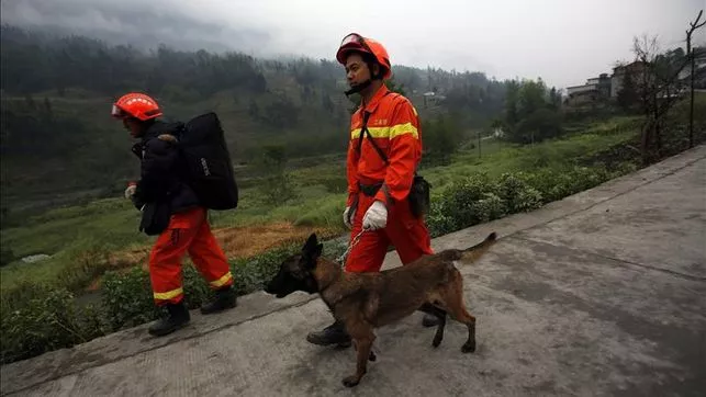 terremoto-sur-China_EDIIMA20140531_0137_4