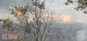 Lluvia trae esperanza en lucha contra fuego forestal