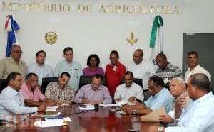 Cona establece el arroz será sembrado  dos veces al año