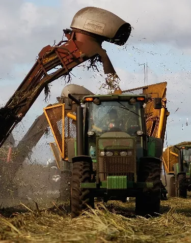 Florida Acquires U.S. Sugar Land As Part Of Everglades Restoration