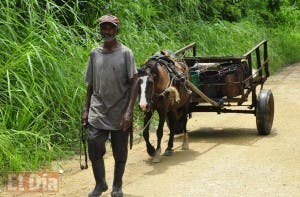 Encargada  protección animal pide apoyo