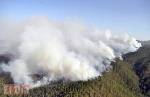 Fuego forestal Valle Nuevo ha quemado más de 20 mil tareas