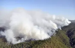 Fuego forestal Valle Nuevo ha quemado más de 20 mil tareas