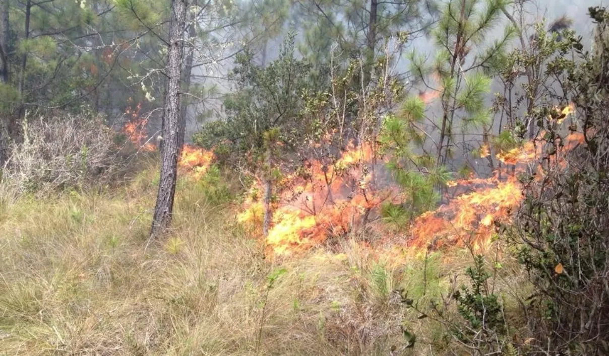 Fuego depende de  condiciones del clima, sobre todo del viento