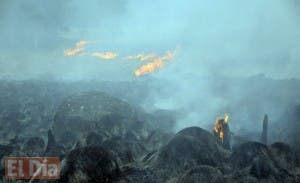 Incendio forestal está bajo control