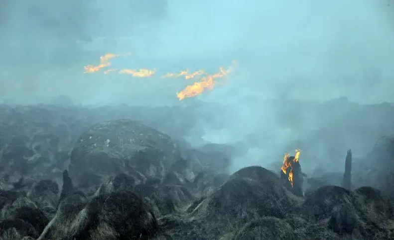 Incendio forestal está bajo control