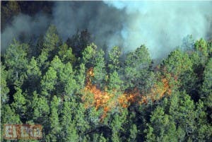 Utilizarán avión cisterna y dos helicópteros para combatir incendio forestal en la Valle Nuevo