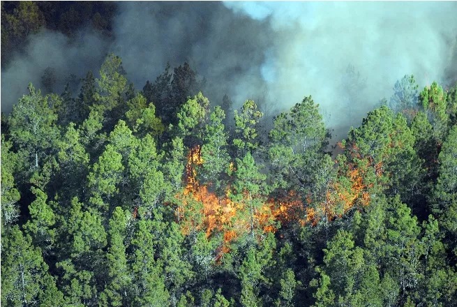 Utilizarán avión cisterna y dos helicópteros para combatir incendio forestal en la Valle Nuevo