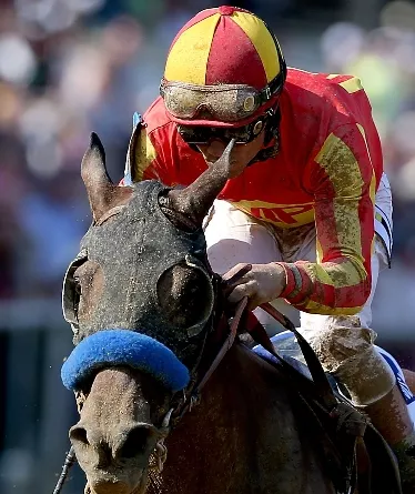 138th Preakness Stakes – Previews