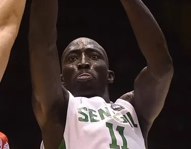 BASKET-WC-2014-SEN-PUR
