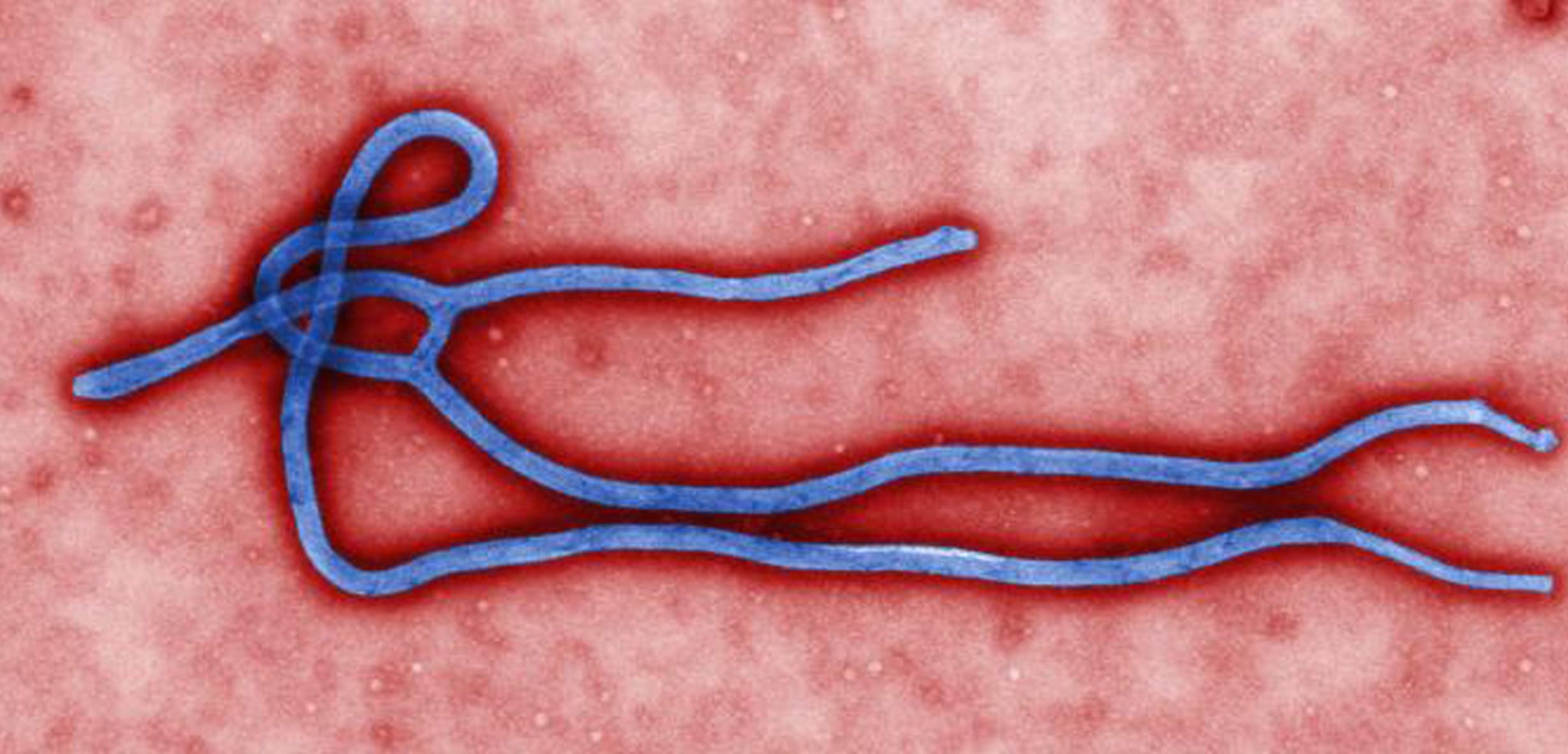 OMS se apresta a declarar Sierra Leona país libre de transmisión del ébola